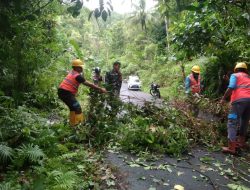 Cegah Gangguan Jaringan Listrik, Babinsa Bersama Petugas PLN Bersihkan Ranting Pohon