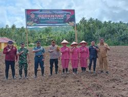 Dandim 1301/ Sangihe Bersama Forkopimda Kabupaten Kepulauan Sangihe Menghadiri Kegiatan Vcon Penanaman Jagung Serentak 1 Juta Hektar 